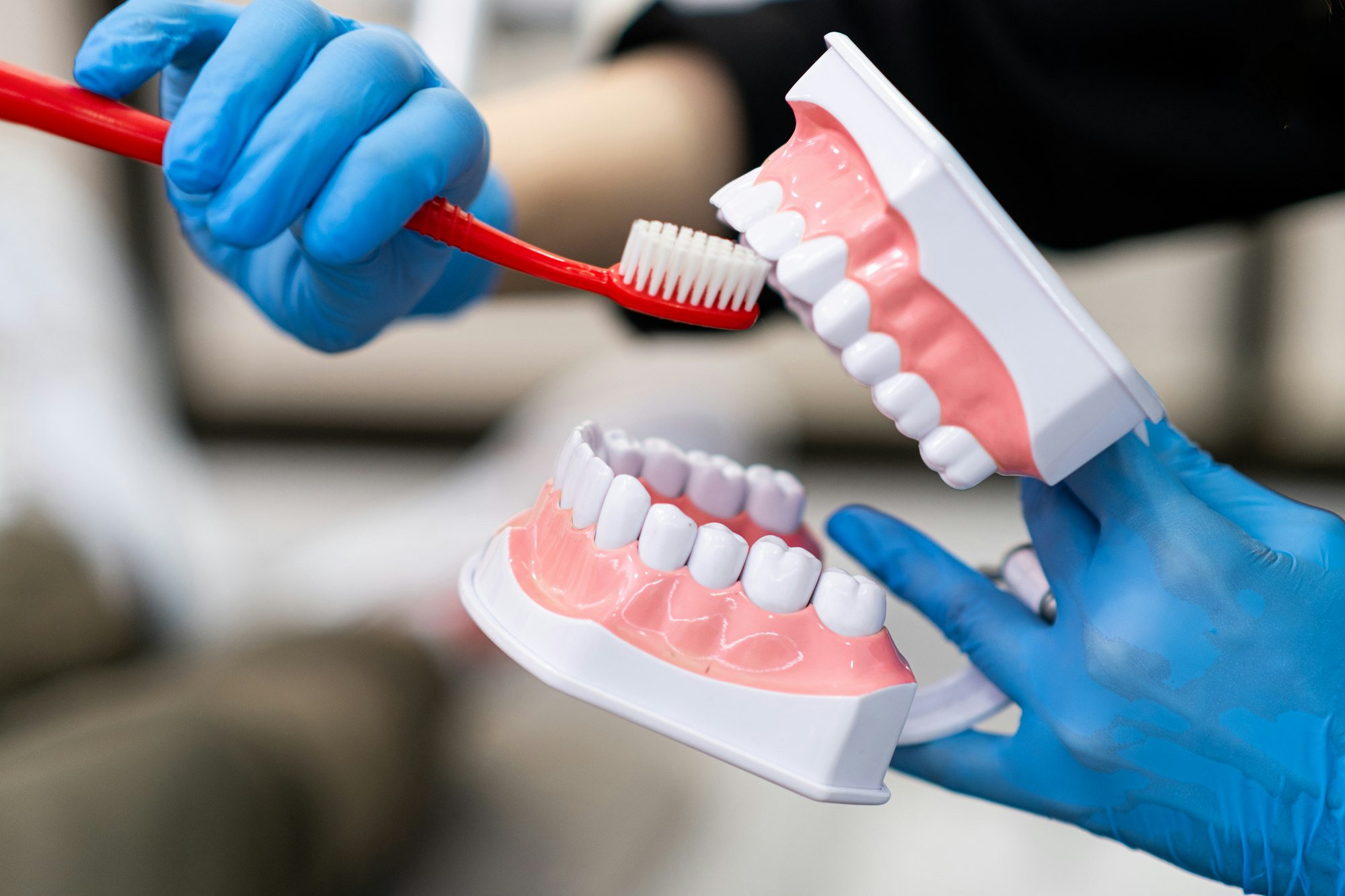 Doctor in protective gloves showing teeth brushing process with toothbrush and jaws model